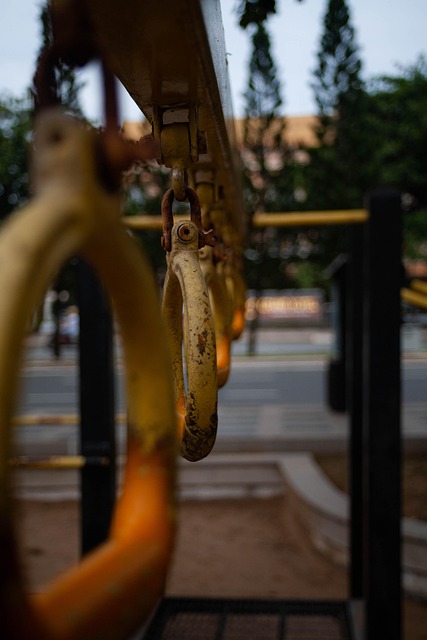 Free Playground Chain Climber photo and picture