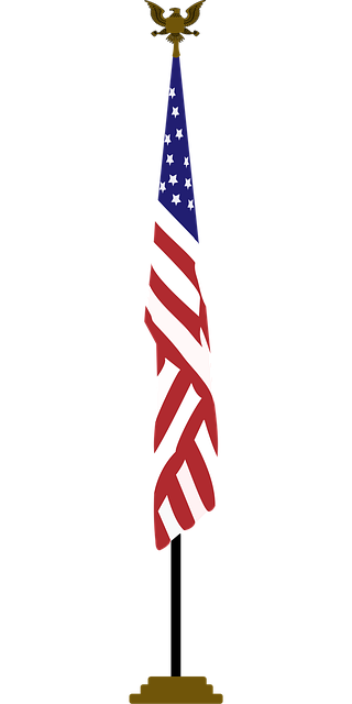 Free Usa American Flag vector and picture