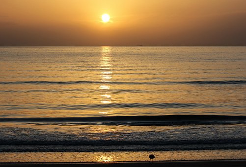 Solopgang, Hav, Strand, Sol, Sollys