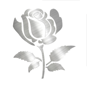 Free Flower Rose illustration and picture