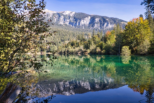 Free Mountain Lake Forest photo and picture