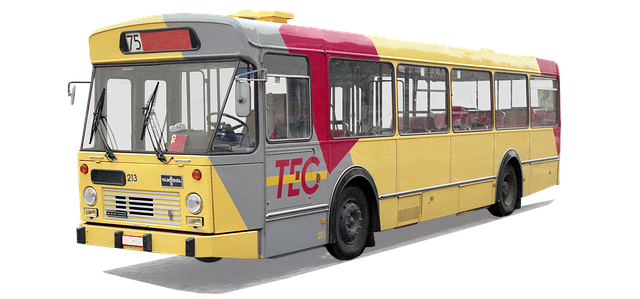 Van Hool, A120, Mand Magt, Belgisk Bus