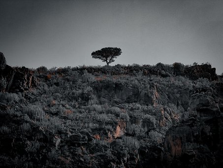 Skyer, Natur, Landskab
