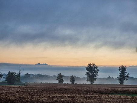 Tåge, Morgen, Landskab, Felt, Sommer