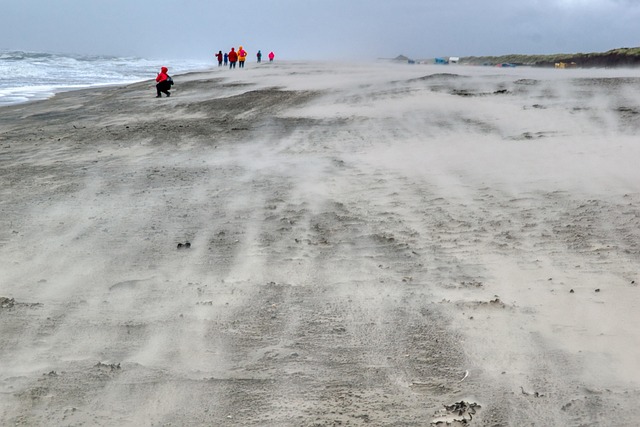 Free Beach Sand photo and picture