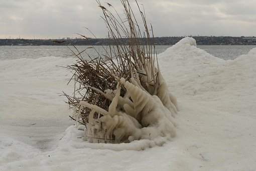 Free Ice Frost photo and picture