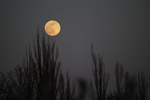 Free Moon Full Moon photo and picture