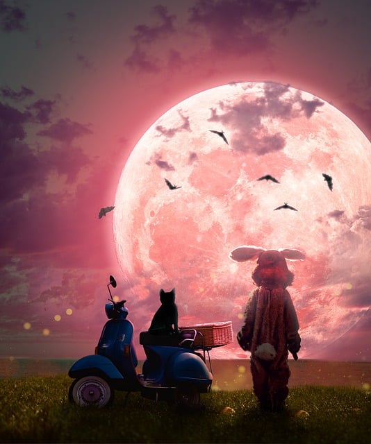 Free moon bunny scooter illustration