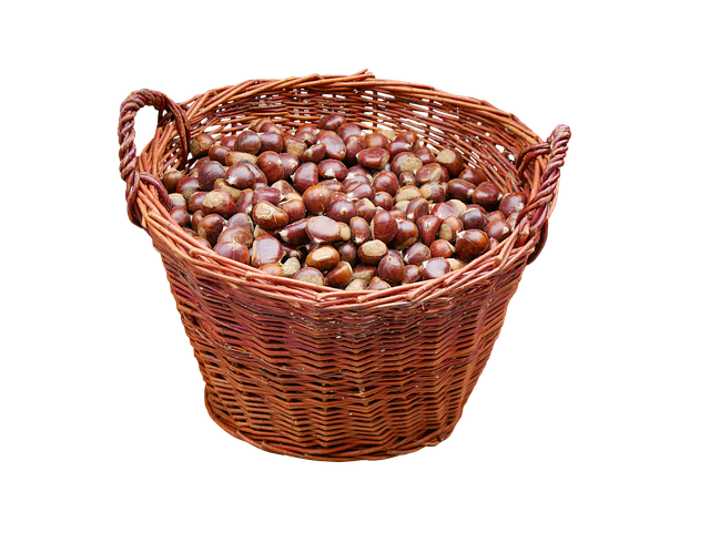 Free chestnuts nuts ohio buckeye illustration