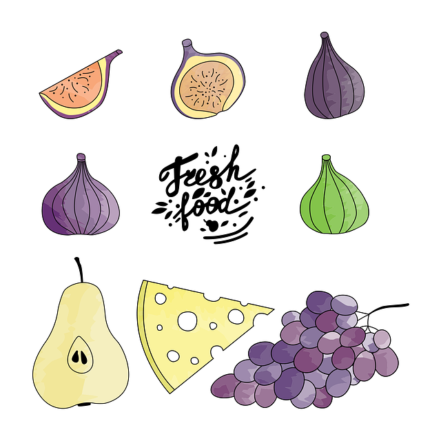 Free fruits grapes figs vector