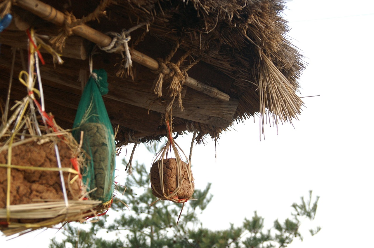 Download free HD stock image of South Korea Village Free South Korea Village photo and picture