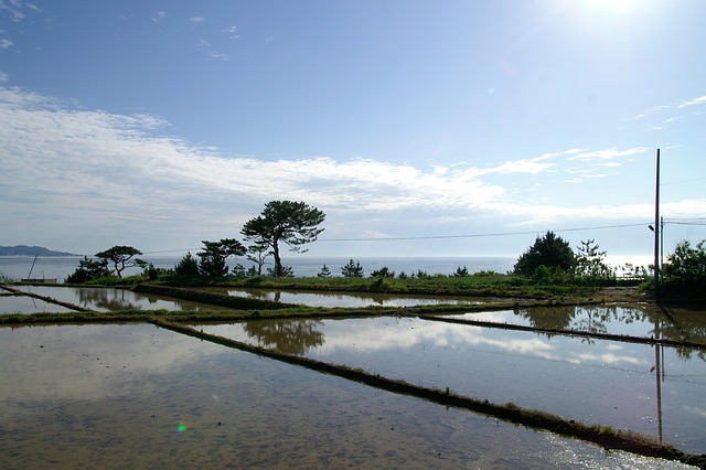Free Republic Of Korea Yeongdeok photo and picture
