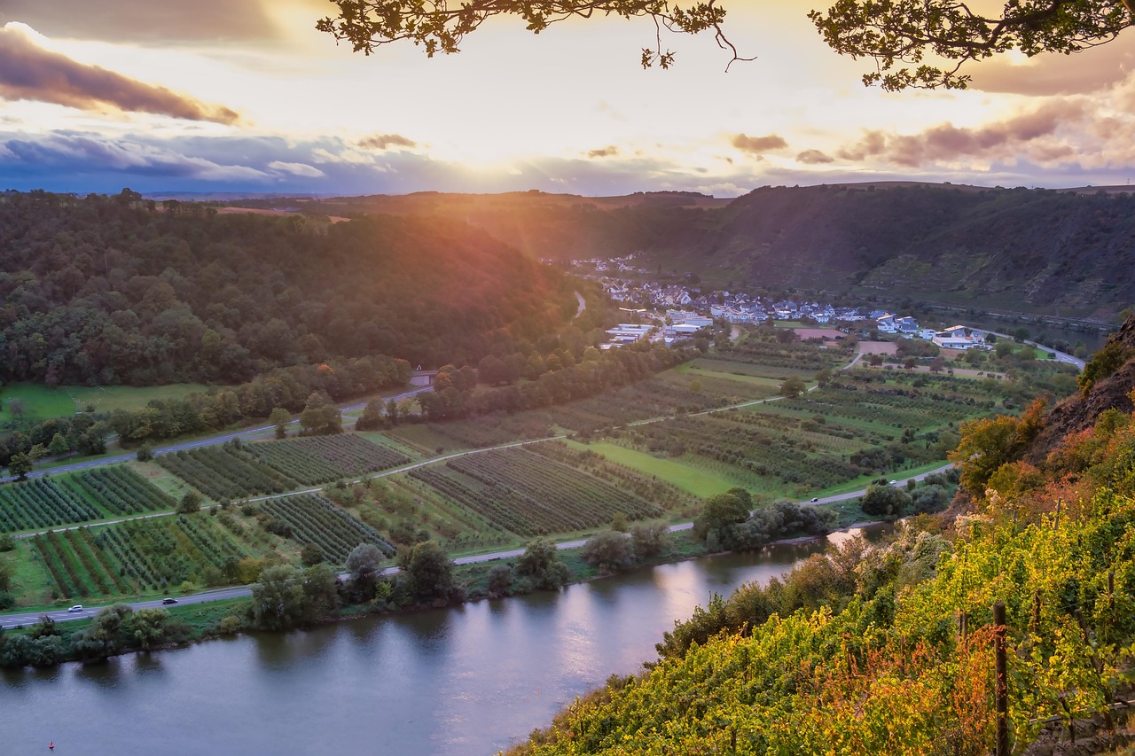 Nature - free online jigsaw puzzle photo