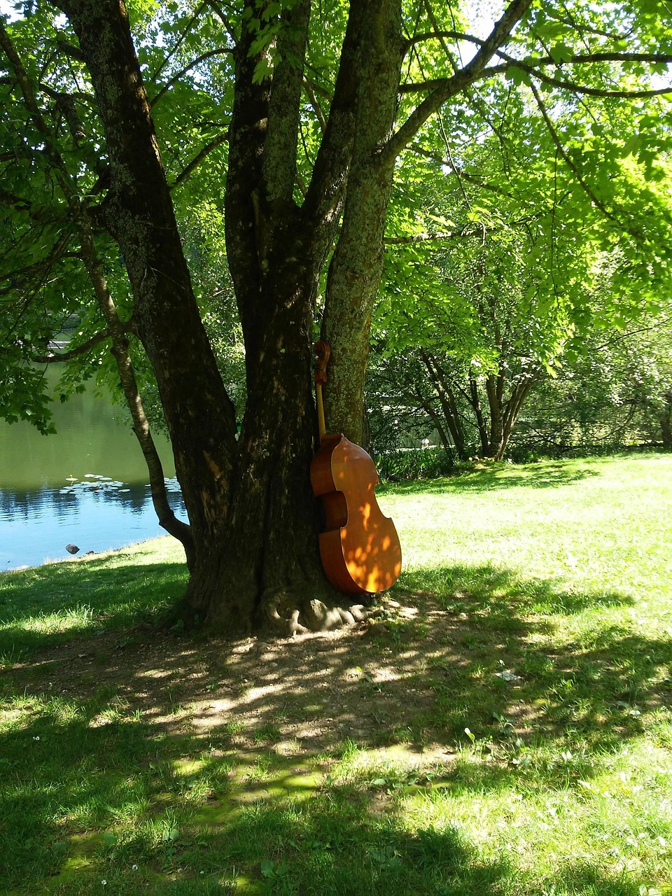 Musical Instrument Free photo on Pixabay Pixabay