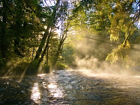 Free Golden Hour Mist photo and picture