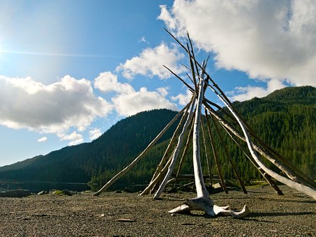 Free Driftwood Sculpture photo and picture