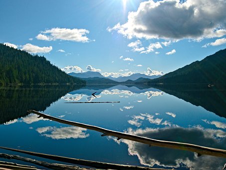 Free Landscape Reflection photo and picture