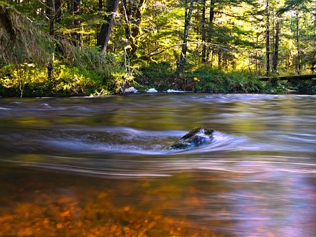 Free Landscape River photo and picture