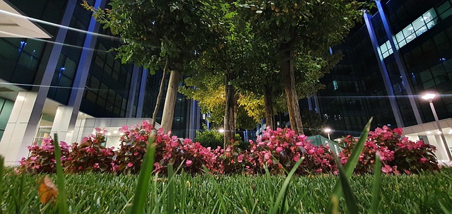 Free Belgrade Airport City photo and picture