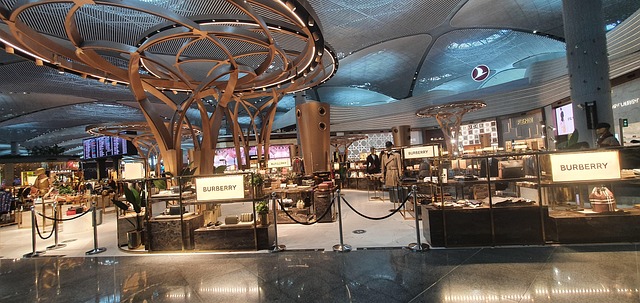 Free Turkish Airport photo and picture