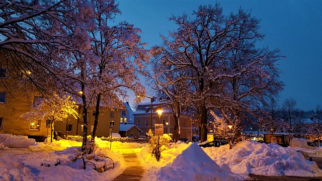 Nieve, Invierno, Mañana, Linterna