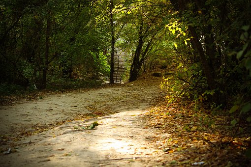 Free Autumn Fall photo and picture