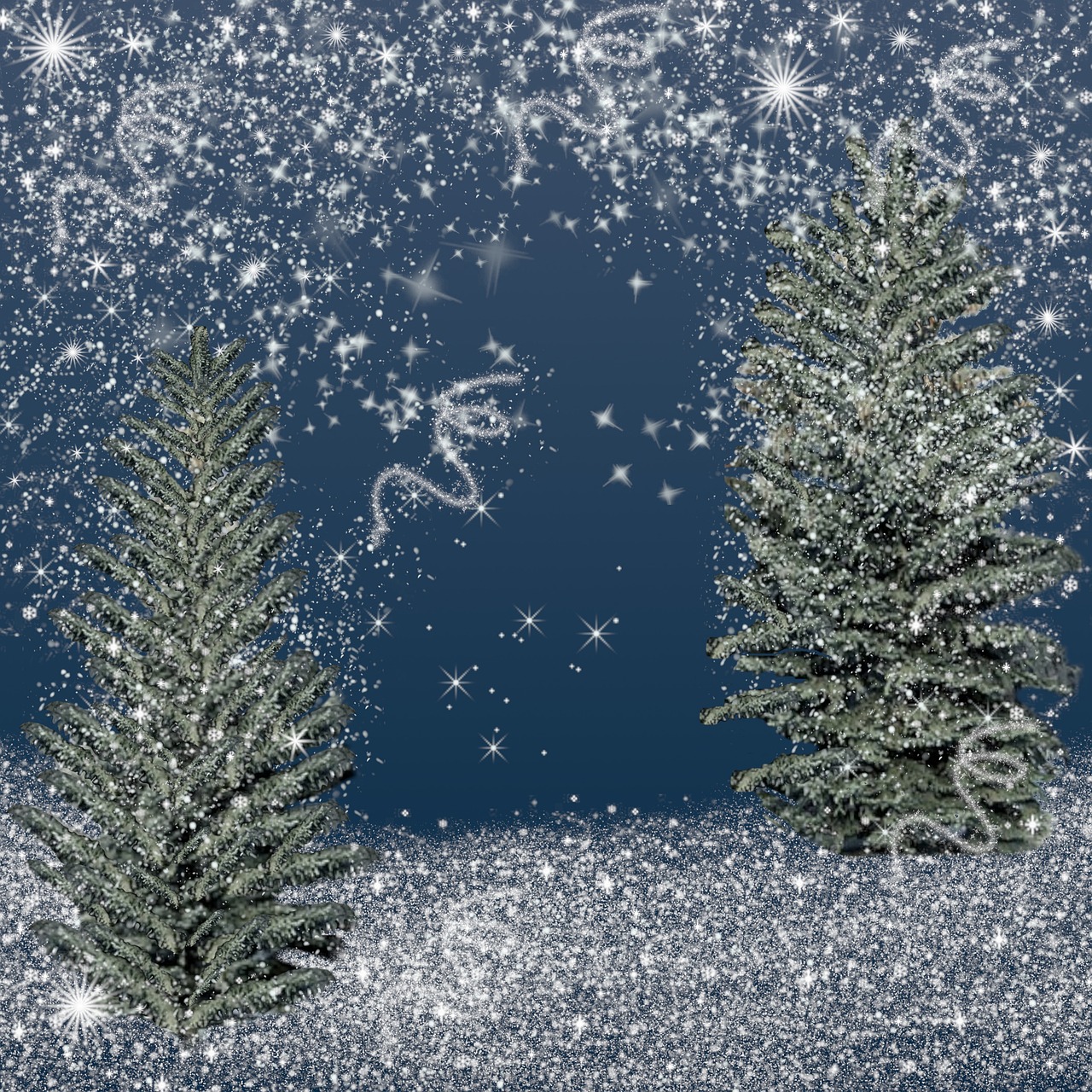 Christmas Trees Snow Free photo on Pixabay Pixabay