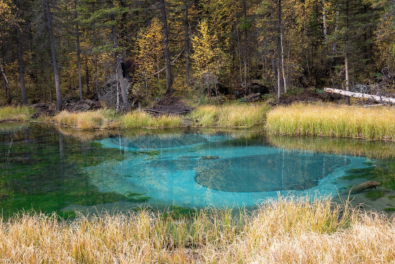 Lake - free online jigsaw puzzle photo