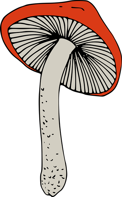 Free mushroom plants cut out illustration