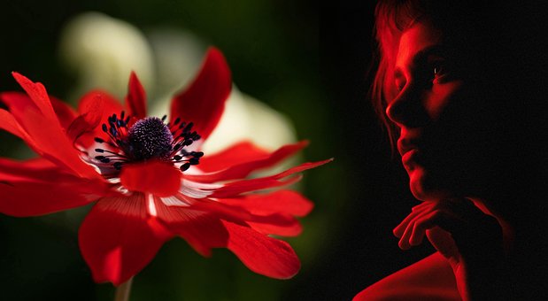 Kvinde, Skønhed, Blomst, Blomstre