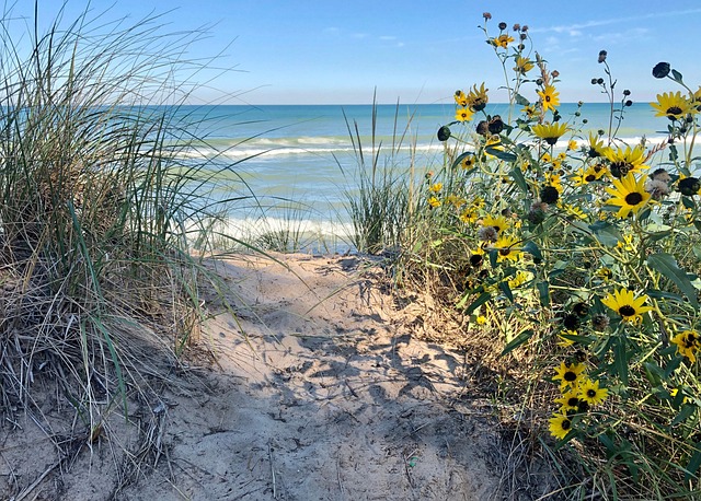 Strand, Sand, Wasser, Natur, See