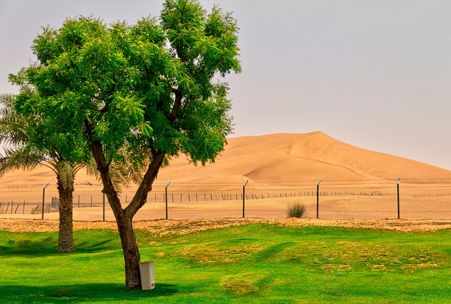 Free Desert Dubai photo and picture