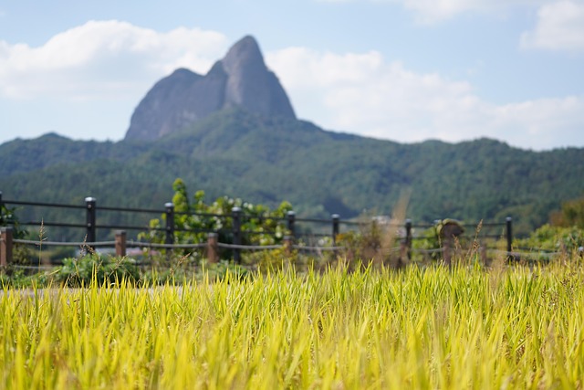 Free Maisan Provincial Park Field photo and picture