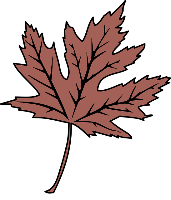 Free leaf autumn nature illustration
