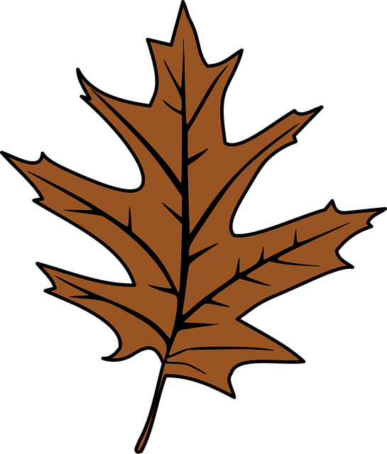 Free leaf autumn nature illustration