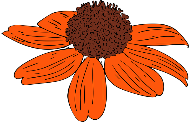 Free flower coneflower bloom illustration