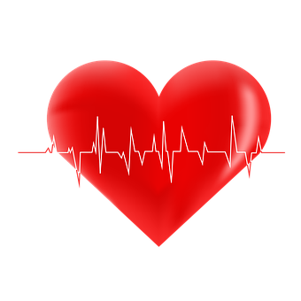 Free Heart Anatomy illustration and picture