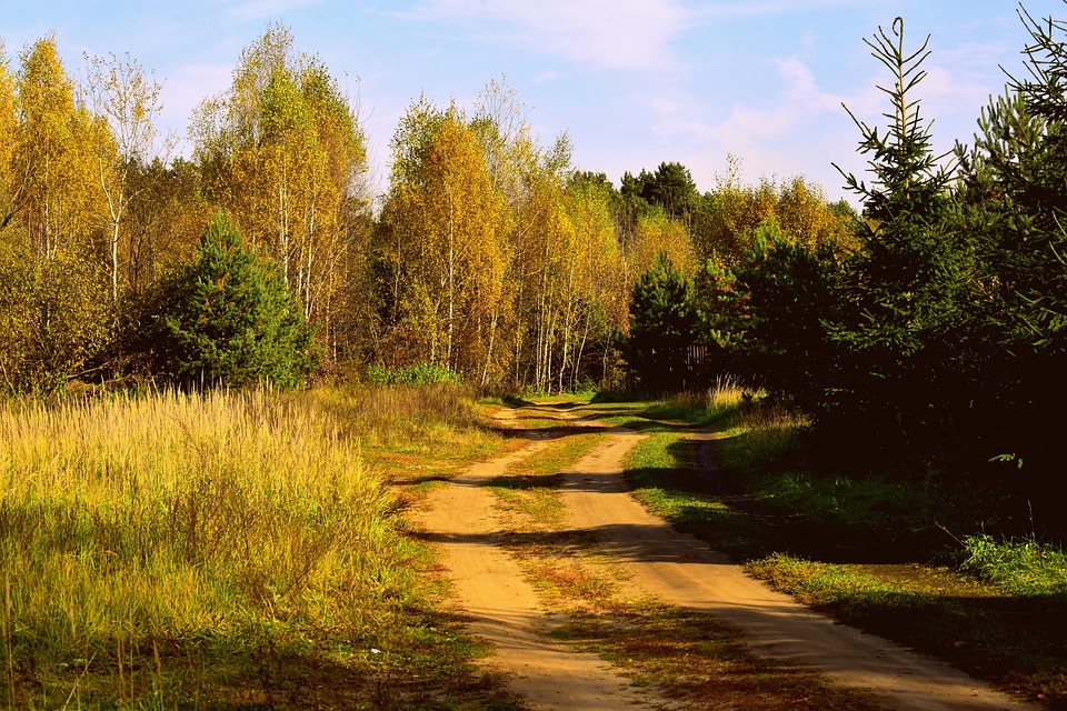 Nature Chemin En Plein Air - Photo gratuite sur Pixabay - Pixabay