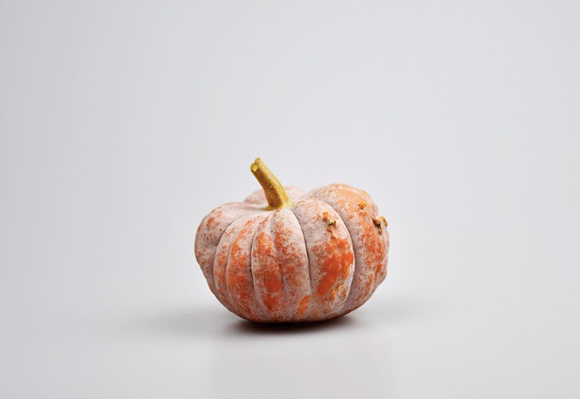 Free Vegetable Pumpkin photo and picture