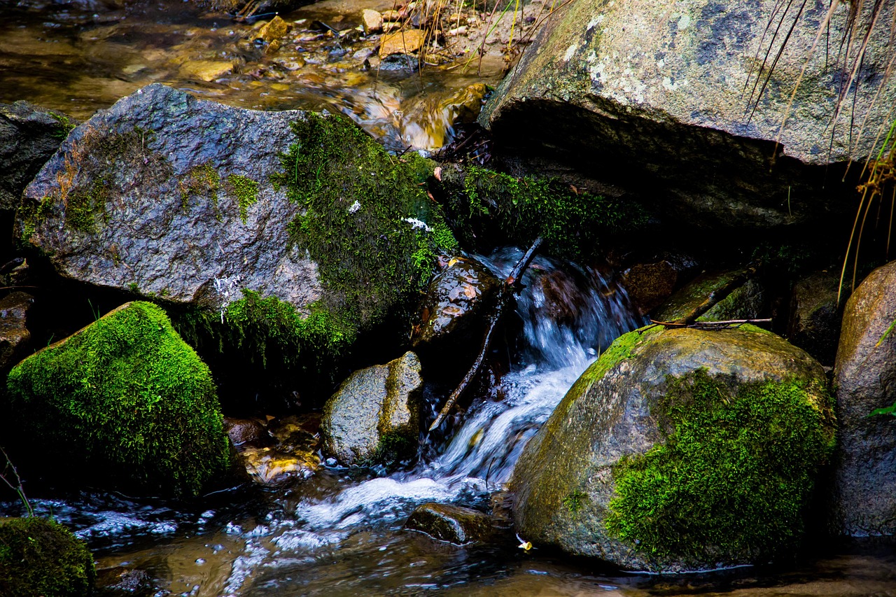 溪 河 - Pixabay上的免费照片 - Pixabay