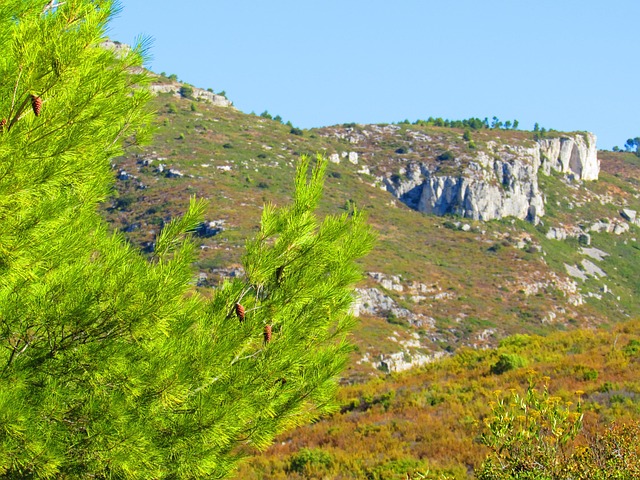 Land, Løv, Natur, Bjerge, Fyr, Ferie