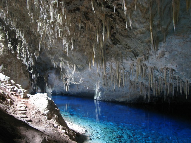 Free Bonito Ms Bonito photo and picture