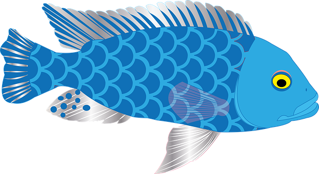 Fische, Marine, Ausgeschnitten