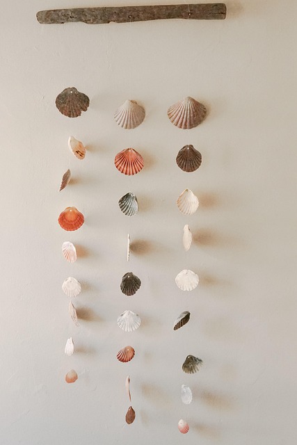 Concha, Shell Mobile, Muro