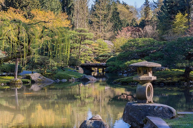 Jardín Japonés, Hoja Asomando, Estanque