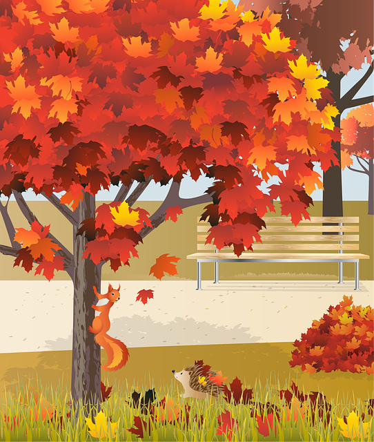 Free squirrel autumn hedgehog vector