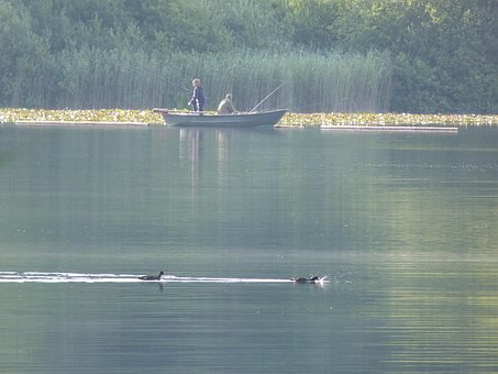 Free Lake Nature photo and picture