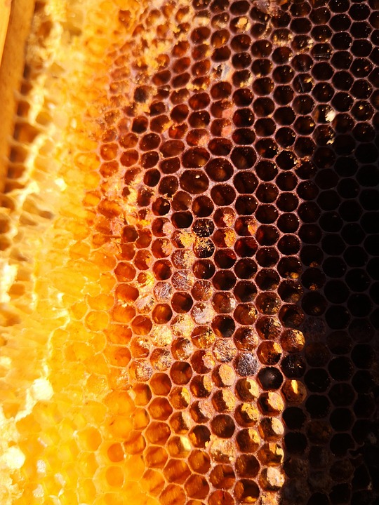 Honey Hive Free photo on Pixabay Pixabay