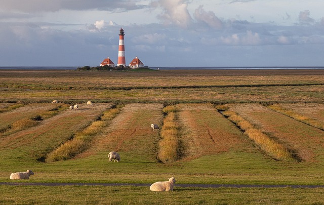 Free Nature Rural photo and picture
