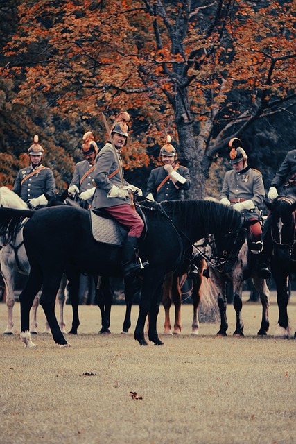 Free Military Horse Riding photo and picture